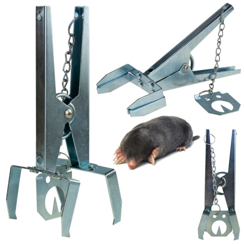 TG63010 KRETA FALLE NORNICE FANG METALLSCHRANK