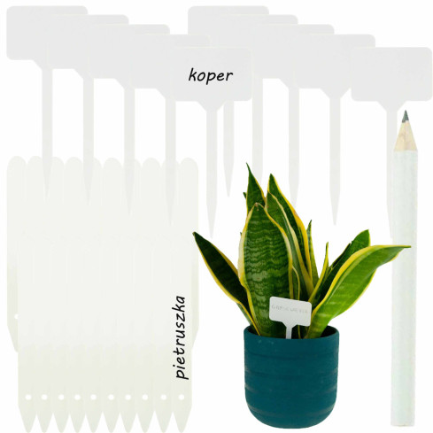 TG67653 ETIKETTIERUNGSANHÄNGER FÜR SETZLINGE 31 STK/KPL