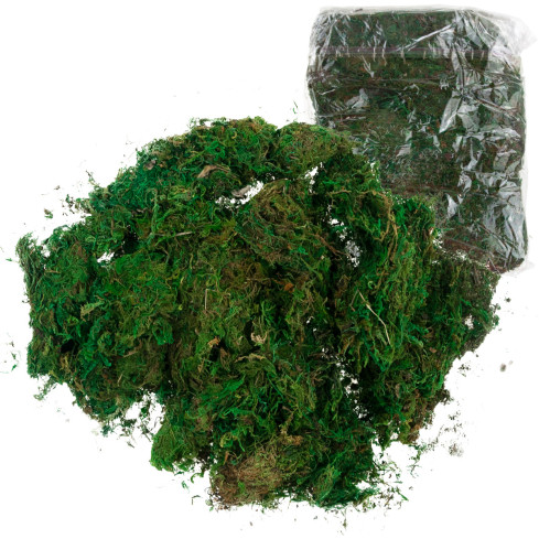 TG70316 Artificial Moss, 1 kg, Loose, Decorative, for Floral Arrangements, Green, Durable