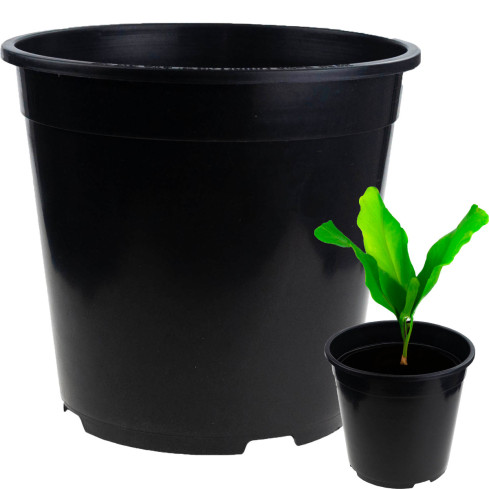 TG72941 P24 7.5L round seedling pot with rim, 24x24cm
