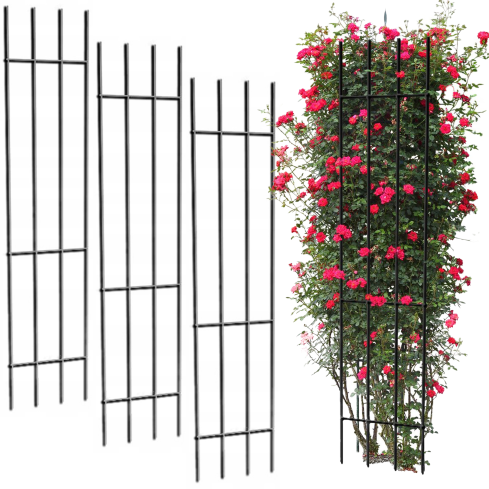 TG77602 Metall-Garten-Pergola, Blumen-Rosen-Pflanzenstütze, Spalier-Satz von 3pcs.