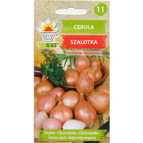 Shallots (Conservor F1), Allium cepa L., onion seeds, 20 pcs.