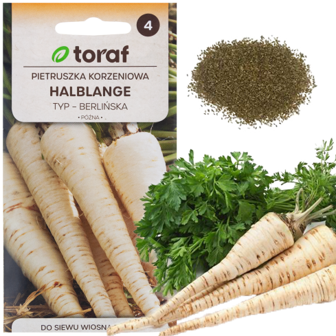W0210 Berlin Halblange Parsley Root, 5 g, Late-Season Parsley Seeds