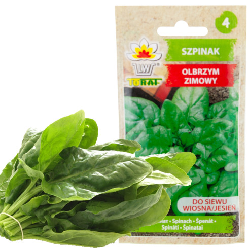 W0326 ZIMNÍ OBŘÍ ŠPENÁT 10G SEMEN OBŘÍHO ŠPENÁTU