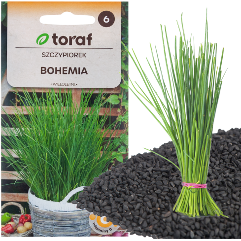 W0784 PAŽITKA BOHEMIA 2G SEMENA PAŽITKY RYCHLE ROSTOUCÍ TRVALKA