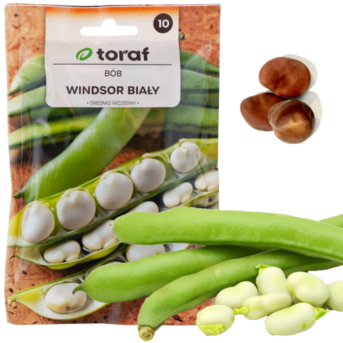 W1006 SEMENA WINDSORSKÝ BÍLÝ BOB STŘEDNĚ RANÝ VELMI PLODNÝ 50G