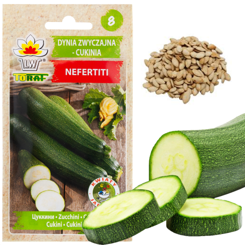 W1031 ZUCCHINISAMEN ZUCCHINI KÜRBIS NEFERTITI GEMÜSE GRÜN LECKER 3G