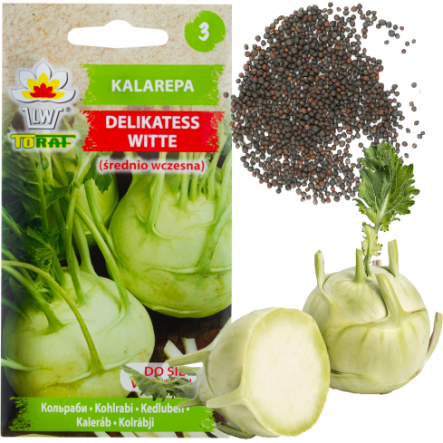 W1073 KALAREPAPEROVÉ SEMÍNKO DELICATESS WITTE WHITE WY jaro/léto 2G