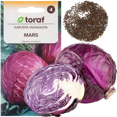 W1086 HLÁVKOVÉ ZELÍ ČERVENÉ MARS STŘEDNĚ RANÉ DO SALÁTŮ