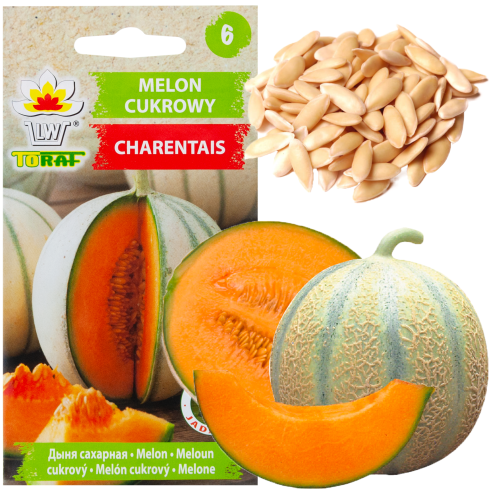 W1111 SEMÍNKA CUKROVÉHO MELOUNU CHARENTAIS VELKÁ CHUTNÁ ŠŤAVNATÁ 1G