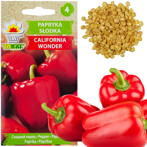 W1135 KALIFORNIEN WUNDER ROTE SÜSSE SALATPAPRIKA SAMEN 0.5G