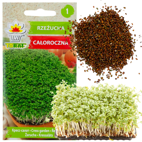 W1190 ŘEŘICHA CELOROČNÍ ZELENINA KLÍČKY 10G