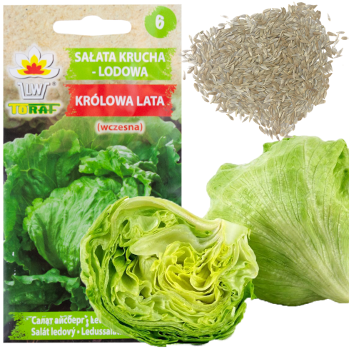 W1212 KNACKIGER EISBERGSALAT KÖNIGIN DES SOMMERS FRÜHGEMÜSESALAT SAMEN 1G