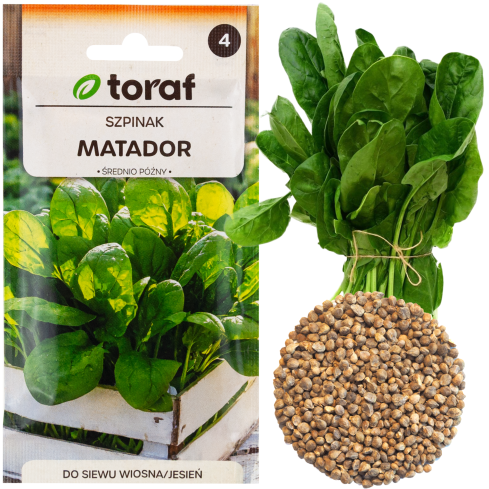W1236 MATADOR ŠPENÁT ZELENINOVÁ SEMENA TMAVĚ ZELENÁ JARNÍ PODZIMNÍ 5G