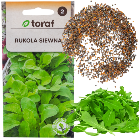 W1255 WILDWACHSENDE RUCOLA-SAMEN GEMÜSESALAT WÜRZIG 1G