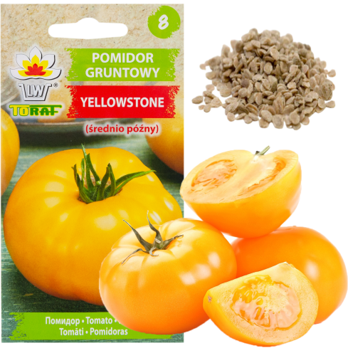 W1265 RAJČE MLETÉ VYSOKÉ ŽLUTÉ RAJČE SE SEMENY ŠŤAVNATÉ VELKÉ 0,3G