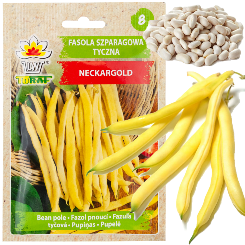 W3587 ZELENÉ FAZOLKY TIC 10G SEMÍNKA FAZOLÍ NECKARGOLD ŽLUTÁ