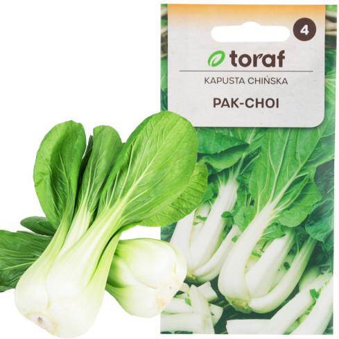 W3779 ČÍNSKÉ ZELÍ PAK CHOI 1G SEMENA ČÍNSKÉHO ZELÍ TORAF