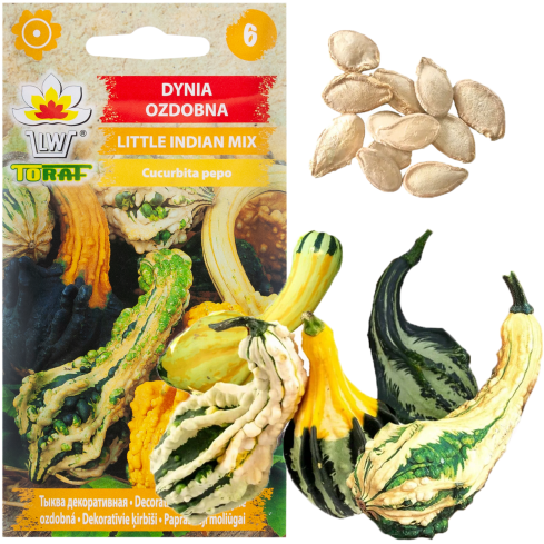 W7059 ZIERKÜRBIS KLEINE INDISCHE MISCHUNG 2G SAMEN MIX FARBEN UND FORMEN VON KÜRBIS