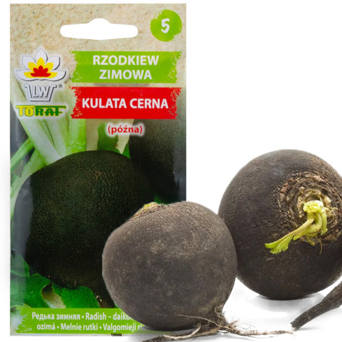 W7288 ČERNÁ ŘEDKEV KULATA CERNA 5G SEMENO ŘEDKVE