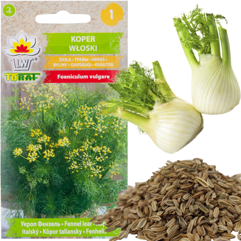 Z3013 FENYKL BYLINNÉ SEMÍNKO FENYKL KOŘENÍ TRÁVICÍ SYSTÉM 1G