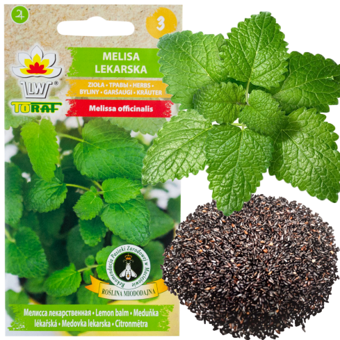 Z3019 MEDUŇKA VÝSADBA SEMEN LÉČIVÁ BYLINA MEDOVÁ ROSTLINA 0.5G