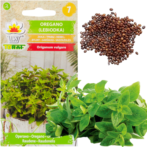 Z3026 OREGANO OREGANO BYLINNÁ SEMENA AROMATICKÁ BYLINA DO KAŽDÉ KUCHYNĚ 0,5G