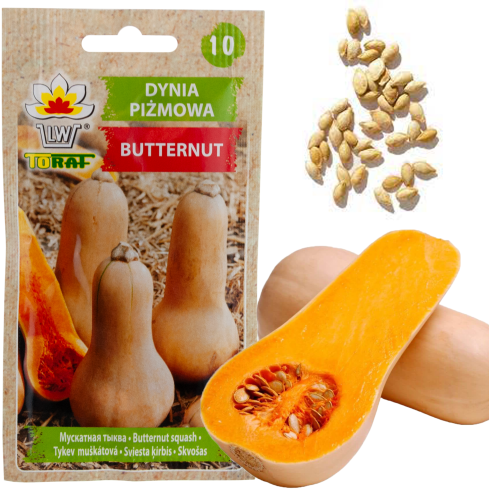 Z3036 Kürbiskerne BUTTERNUSS-GEMÜSE-SAMEN GETRÄNKE