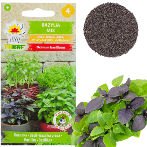 Z3129 AROMATICKÁ BAZALKA SMĚS ODRŮD A BAREV PRO ITALSKOU KUCHYNI 1G