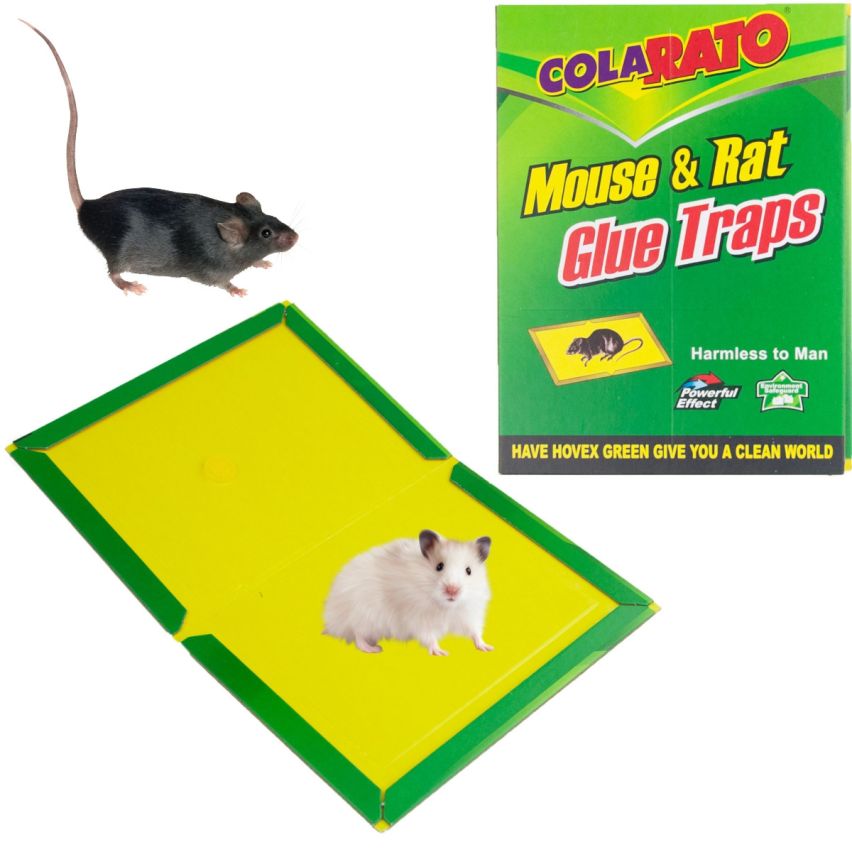 DO28 Klebefalle für Mäuse Nagetiere HOGS