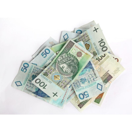 TG66239 SPIELZEUG GELD SET MÜNZEN + SCHEINE ZLOTYS