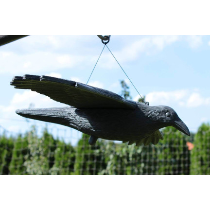 TG60298 RABE VOGELABSCHRECKUNG IM FLUG HÄNGEND GROSS FÜR BALKON
