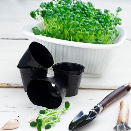 TG70299 Seedling Pots, 6 × 6 cm, 10 pcs