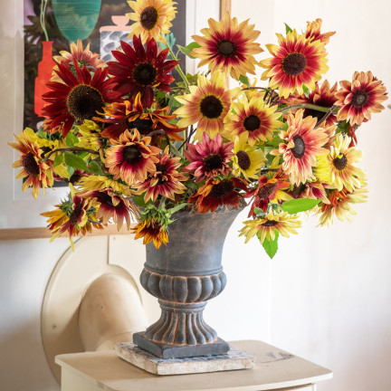 R4232 Ornamental Sunflower Mix (multi-stemmed), 2 g seeds, annual honey plant
