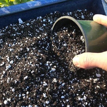 BIO2 BIOVITA GARTENBAU-PERLIT 10L NATÜRLICHER BODENVERBESSERER BODENZUSATZ