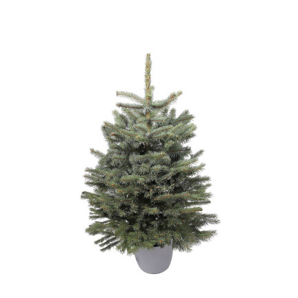 TG56800-1 weihnachtlicher dekorativer Blumentopf in Silber mit Glitzer
