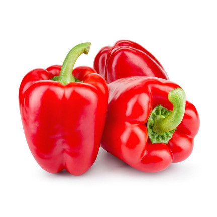 W1135 KALIFORNIEN WUNDER ROTE SÜSSE SALATPAPRIKA SAMEN 0.5G