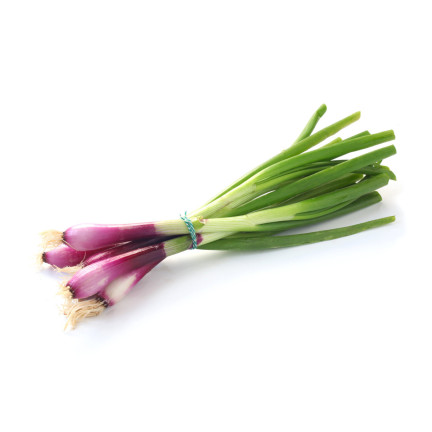W1023: Seven-year-old perennial onion, frost-resistant, tubular leaves, 'Red Toga'