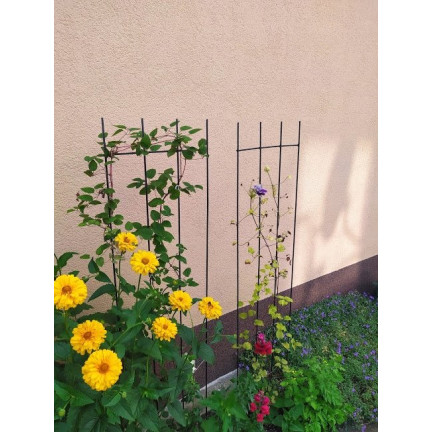 TG77602 Metall-Garten-Pergola, Blumen-Rosen-Pflanzenstütze, Spalier-Satz von 3pcs.