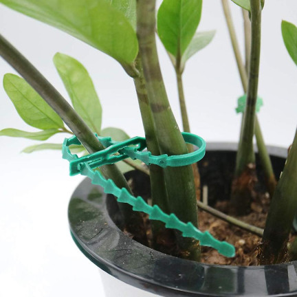 TG56594 GARDENER'S STRIPPED CLIPS PLANT CLIPS Wiederverwendbar