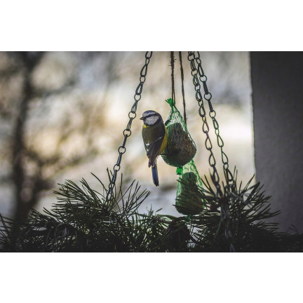 Fettkugel für Wildvögel, Wintervogelfutter, Körner- und Getreidemischung, 1 Stk. 90g