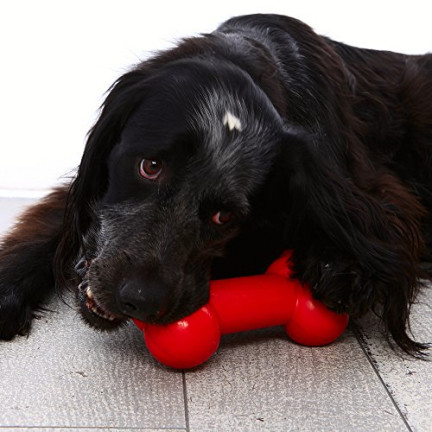 TG56080 Žvýkací kostka s pískátkem DOG TOY
