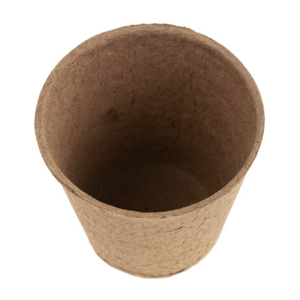 201277 BIODEGRAD BIODEGRAD PLANT PACKS 6 cm 60 Stk.