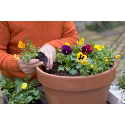 BIO7 BIOVITA UNIVERSALERDE 20L FÜR BLUMEN UND GRÜNPFLANZEN
