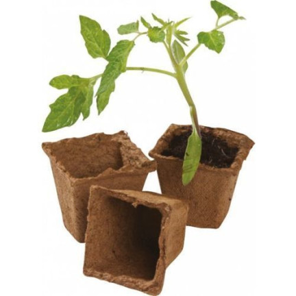 TG60480 TORF TÖPFE P8 BIOLOGISCH ABBAUBAR SETZLINGE SETZLINGE 8 CM 18 STÜCK