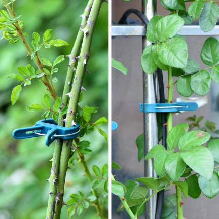 TG67386 Plant Clips for Securing Stems and Shoots, Garden Clips, 50 pcs/set