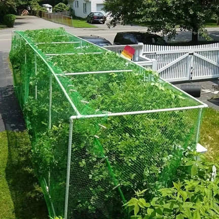 TG70203 großes Vogelnetz 5x50m Schädlingsbekämpfung