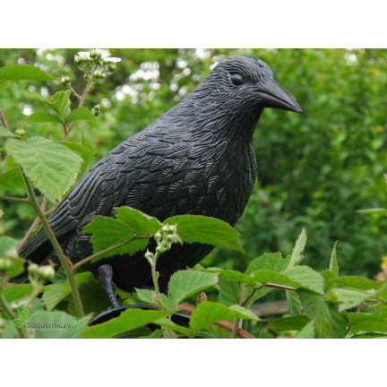 AP8 Large Raven Bird Repeller for Pigeons and Starlings
