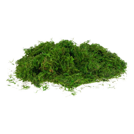 TG39917 KUNSTMOOS 30G LOSE DEKORATIV FÜR SCHILF