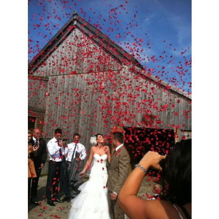 TG60121 CONFETTI TUBA SHOOTING RED HEARTS für eine Hochzeit zum Valentinstag